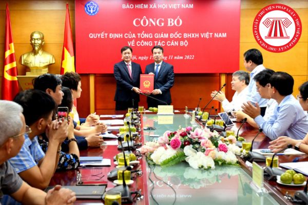 Ai có thẩm quyền đánh giá xếp loại đối với các đơn vị sự nghiệp trực thuộc Bảo hiểm xã hội Việt Nam?