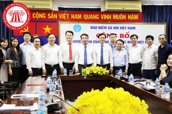 Nhiệm vụ do Chính phủ, Thủ tướng Chính phủ giao cho Bảo hiểm xã hội Việt Nam thực hiện gồm những nhiệm vụ gì?