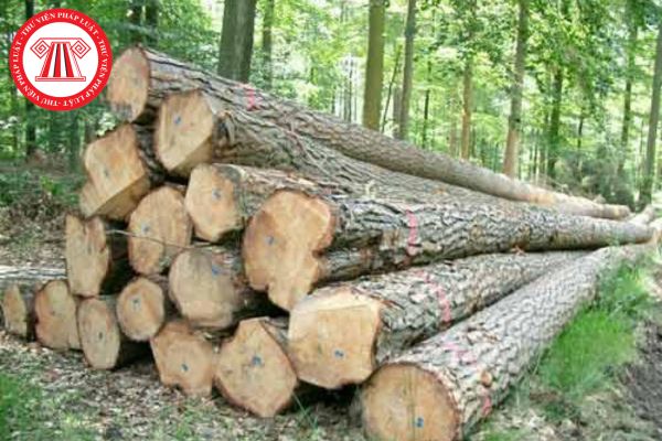 Hồ sơ xác nhận bảng kê lâm sản trong trường hợp khai thác tận thu gỗ loài thực vật rừng thông thường từ rừng tự nhiên gồm những gì?