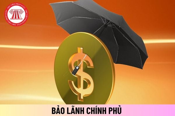 Doanh nghiệp được cấp bảo lãnh Chính phủ phải có thời gian hoạt động ít nhất bao lâu? Có bắt buộc phải thế chấp tài sản không?