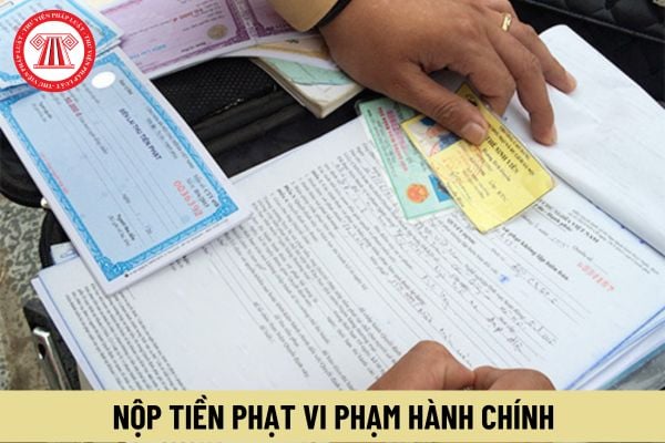 Cá nhân được nộp tiền phạt vi phạm hành chính thành nhiều lần mà chậm nộp phạt thì có bị tính lãi chậm nộp?