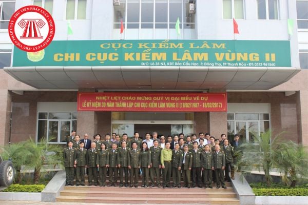 Cục Kiểm lâm thuộc Bộ Nông nghiệp và Phát triển nông thôn có nhiệm vụ và quyền hạn gì về bảo vệ rừng?