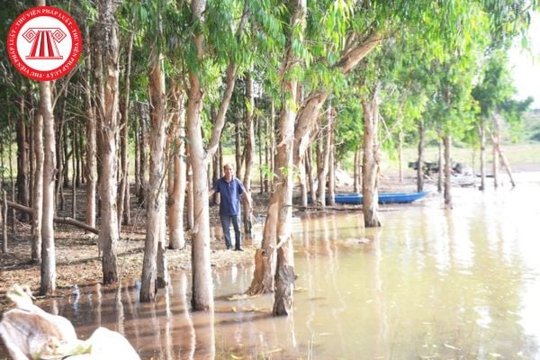 Mẫu đơn đề nghị nhận giao khoán đất vùng bán ngập được quy định thế nào? Việc giao khoán đất vùng bán ngập thuộc thẩm quyền của cơ quan nào?