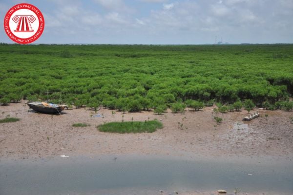 Dự thảo phương án sử dụng đất vùng bán ngập phải được niêm yết công khai trong thời hạn bao lâu?