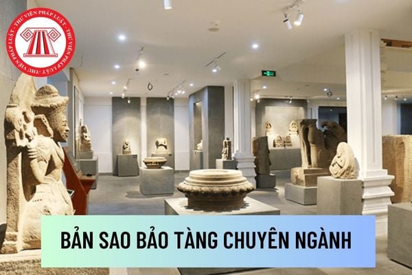 Cục Di sản văn hóa có được cấp giấy phép làm bản sao bảo tàng chuyên ngành ở trung ương hay không?