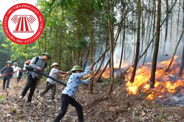 Gây cháy rừng khi không đảm bảo điều kiện an toàn về phòng cháy trong lúc đốt thực bì để chuẩn bị đất trồng rừng có bị xử phạt không?
