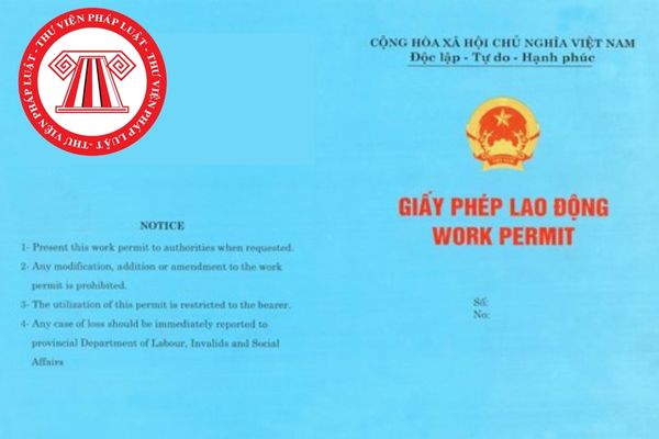 Hồ sơ đề nghị cấp giấy phép lao động đối với người lao động nước ngoài làm lao động kỹ thuật tại Việt Nam gồm những nội dung gì?