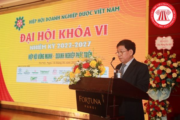 Hiệp hội Doanh nghiệp Dược Việt Nam được có bao nhiêu Phó Chủ tịch? Người đại diện trước pháp luật của Hiệp hội là ai?