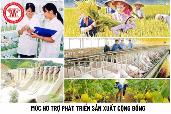 Mức hỗ trợ phát triển sản xuất đối với các dự án của cộng đồng thuộc chương trình mục tiêu quốc gia là bao nhiêu?