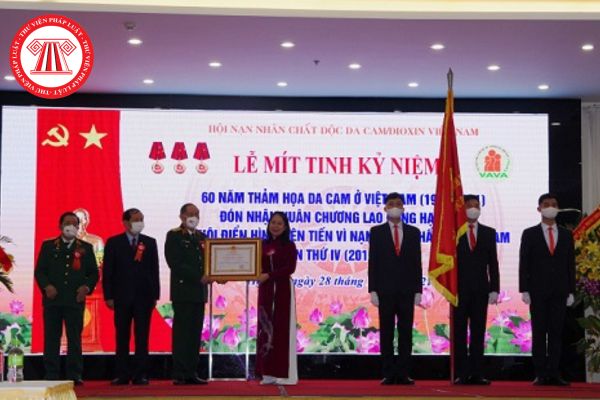 Các nghị quyết, quyết định của Ban Chấp hành Hội Nạn nhân chất độc da cam/dioxin Việt Nam được thông qua khi nào?