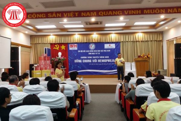 Hội viên chính thức của Hội Rối loạn đông máu Việt Nam có được là cá nhân nhỏ hơn 18 tuổi không?