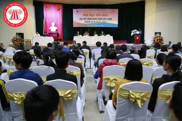 Các hoạt động tư vấn, hợp tác của Hội Rối loạn đông máu Việt Nam do cơ quan nào điều hành theo quy định?