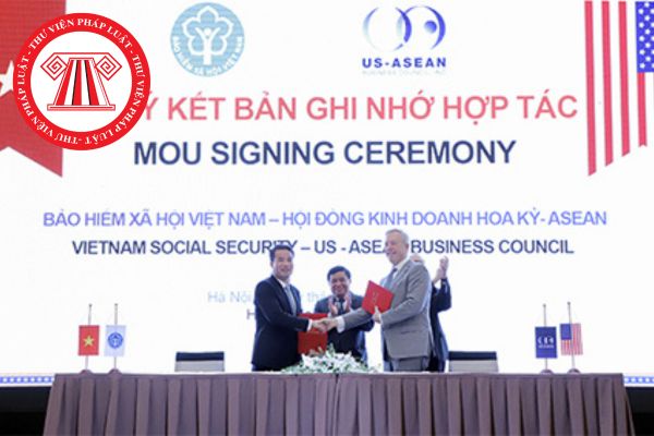 Kế hoạch đối ngoại hàng năm của Bảo hiểm xã hội Việt Nam theo quy định bao gồm những nội dung nào?