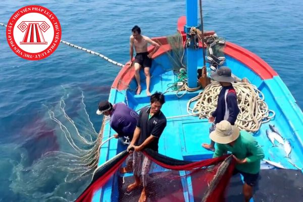 Ban Chỉ đạo quốc gia về chống khai thác hải sản bất hợp pháp, không báo cáo và không theo quy định làm việc theo nguyên tắc nào?