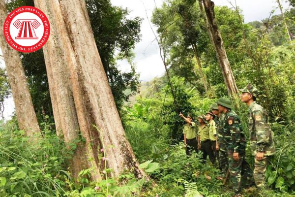 Đoàn kinh tế quốc phòng có trách nhiệm gì trong việc bảo vệ và phát triển rừng trong Khu kinh tế quốc phòng?