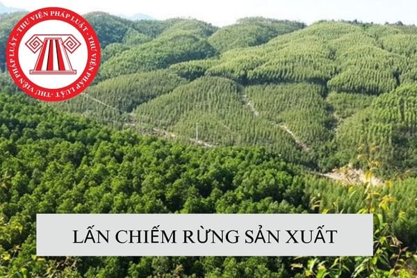 Hành vi lấn chiếm rừng sản xuất của người khác sẽ bị xử phạt vi phạm hành chính như thế nào?