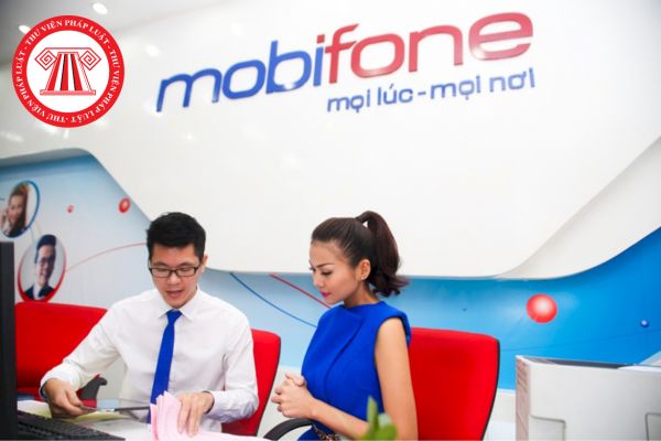 Tổng công ty Viễn thông MobiFone có được mua một phần hoặc toàn bộ doanh nghiệp khác ở nước ngoài hay không?