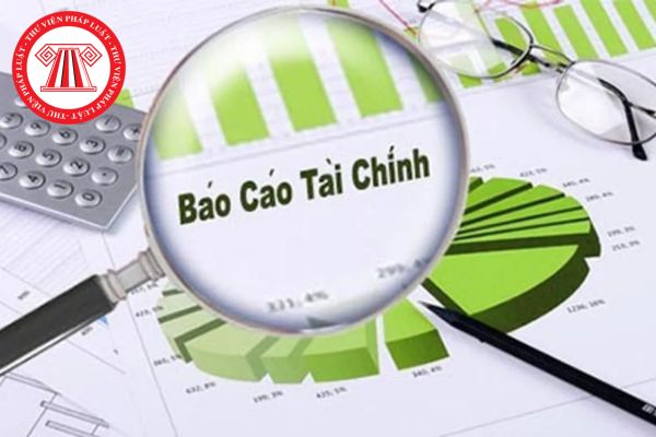 Báo cáo tài chính của Ngân hàng Nhà nước Việt Nam được lập dựa trên những cơ sở nào theo quy định?