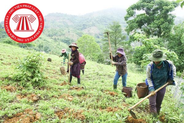 Đồng bào dân tộc thiểu số có được tặng cho quyền sử dụng đất đối với phần đất được nhà giao cho sử dụng hay không?