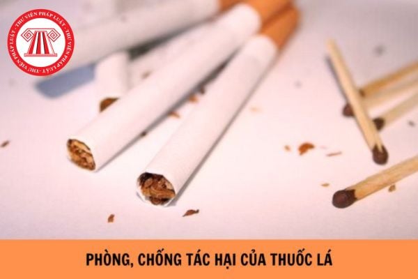 Công tác thực hiện phòng chống tác hại của thuốc lá trong ngành giáo dục phải đảm bảo những nguyên tắc gì?