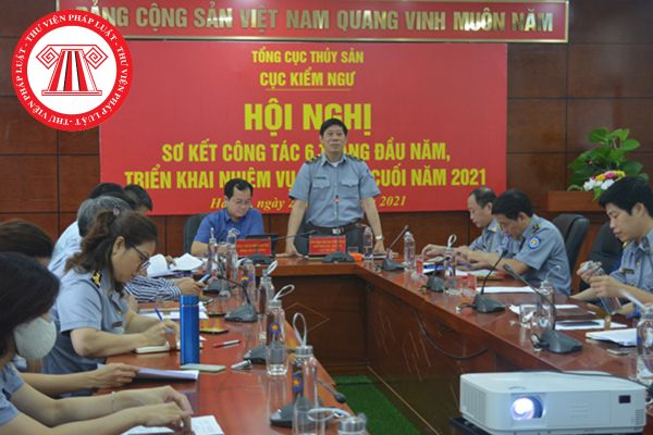 Văn phòng Cục Kiểm ngư có phải là đầu mối thực hiện cải cách hành chính trong lĩnh vực Kiểm ngư hay không?