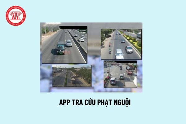 App tra cứu phạt nguội? Khi nào gửi thông báo phạt nguội trên App? App tra cứu phạt nguội do cơ quan nào quản lý?