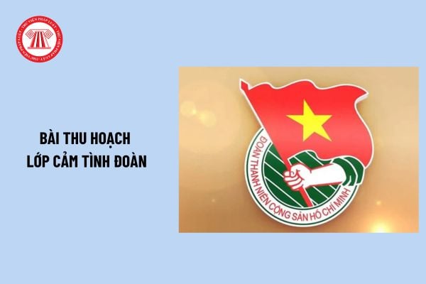 10+ Bài thu hoạch lớp cảm tình đoàn hay nhất? Bài thu hoạch cảm tình Đoàn ngắn gọn? Cách trình bày bài thu hoạch Đoàn?