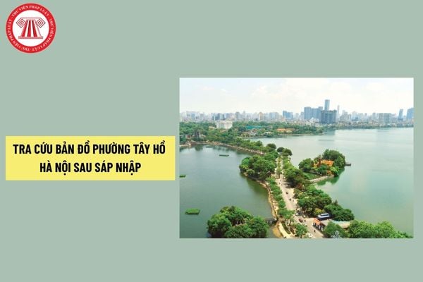 Pháp luật
