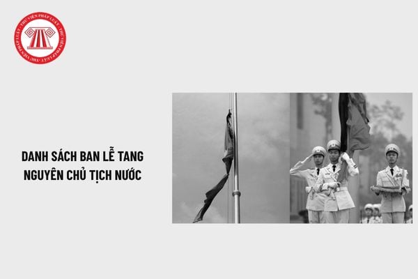 Pháp luật