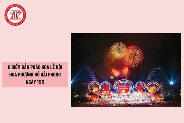 Pháp luật