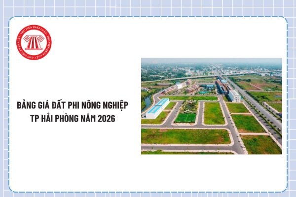 Pháp luật