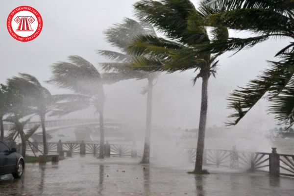 Bão áp thấp nhiệt đới có phải là thiên tai không? Bão áp thấp nhiệt đới như thế nào thì được dự báo, cảnh báo và truyền tin?