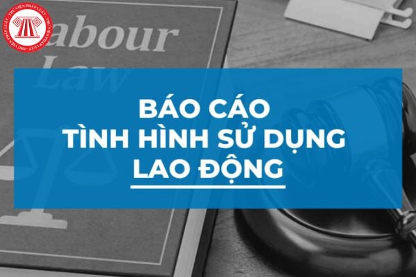 Mẫu báo cáo tình hình sử dụng lao động trên địa bàn dành cho Sở Lao động Thương binh và Xã hội là mẫu nào?