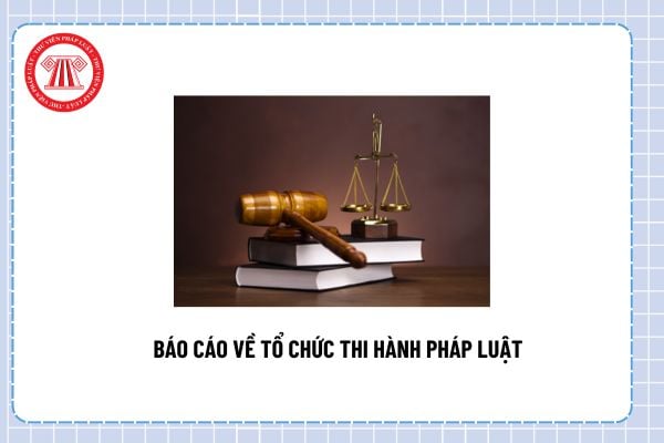 Pháp luật