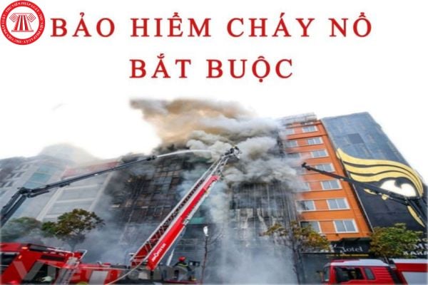 Số tiền bảo hiểm cháy nổ bắt buộc trong trường hợp không xác định được giá thị trường của tài sản được quy định thế nào?