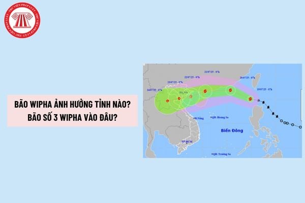 Pháp luật