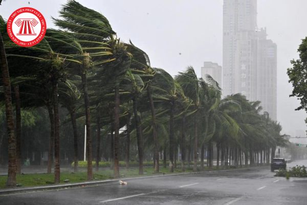 Bão Yagi đổ bộ khi nào? Khoảng cách từ tâm bão đến khu vực đất liền là bao xa?