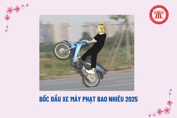 Bốc đầu xe máy phạt bao nhiêu 2025? Lỗi bốc đầu xe máy bị tước quyền sử dụng giấy phép lái xe bao lâu?