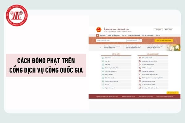 Pháp luật
