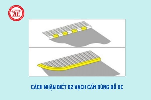 Cách nhận biết 2 vạch cấm dừng đỗ xe? 14 vị trí nghiêm cấm dừng đỗ xe theo quy định mới nhất hiện nay?