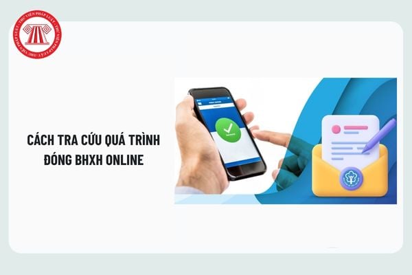 Pháp luật