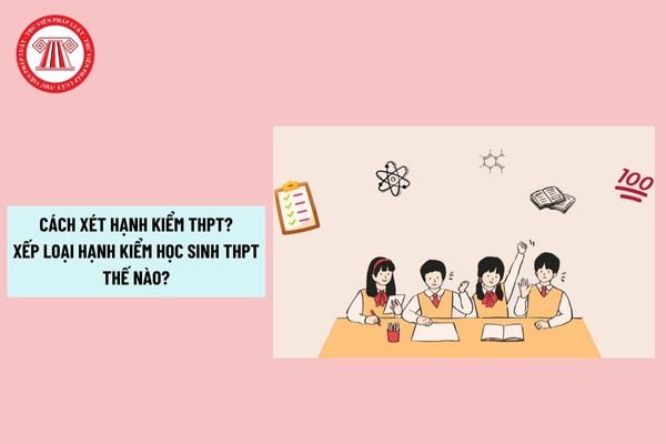 Pháp luật