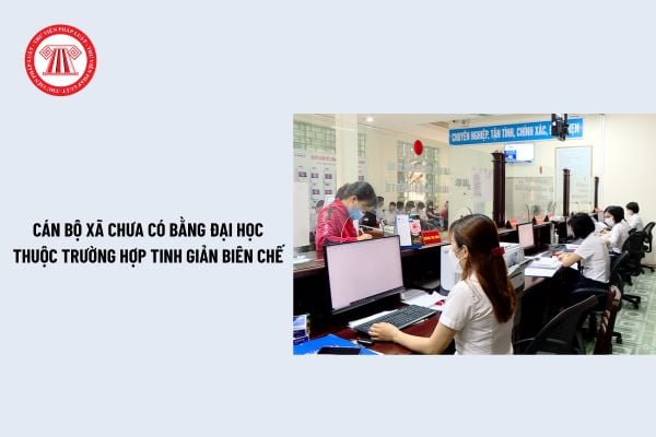 Cán bộ xã chưa có bằng đại học bị tinh giản biên chế trong trường hợp nào theo Nghị định 29? Cán bộ xã phải có bằng đại học? 