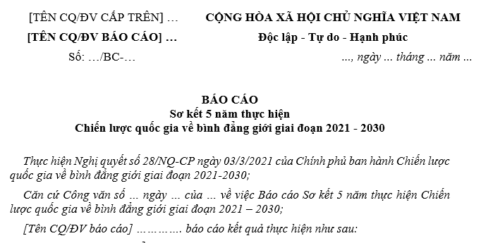 Báo cáo sơ kết 5 năm thực hiện Chiến lược quốc gia về bình đẳng giới