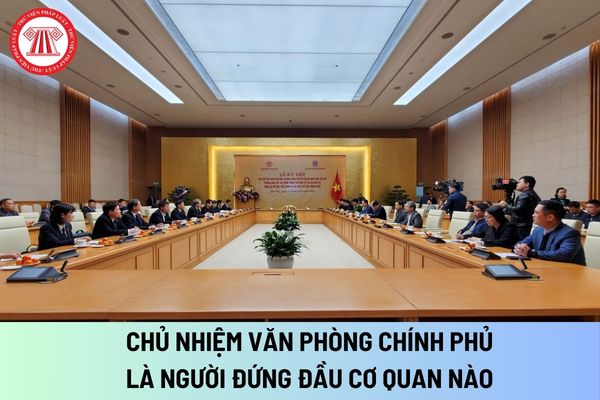 Chủ nhiệm Văn phòng Chính phủ là người đứng đầu cơ quan nào? Chủ nhiệm Văn phòng Chính phủ quy định chức năng, nhiệm vụ của đơn vị nào?