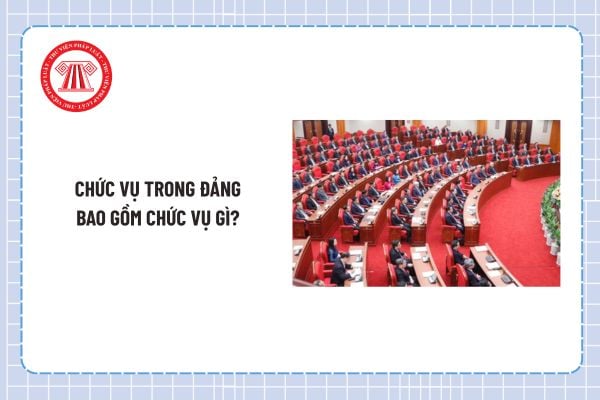Pháp luật