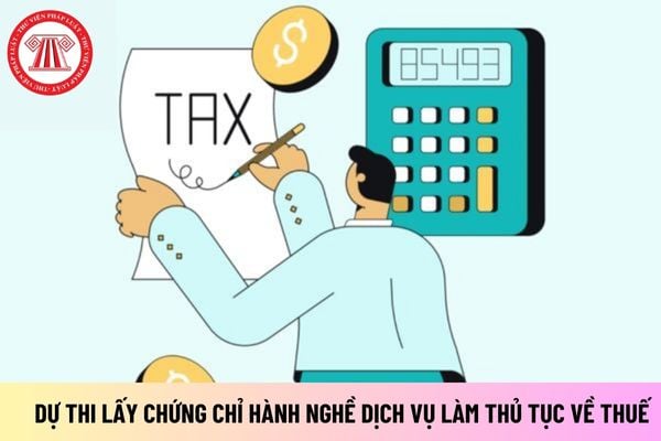 Để được dự thi lấy chứng chỉ hành nghề dịch vụ làm thủ tục về thuế thì cá nhân cần tốt nghiệp đại học những chuyên ngành nào?