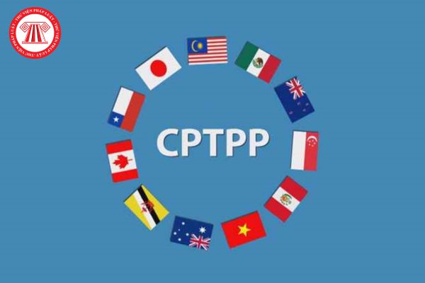 Mẫu Tờ khai bổ sung CO form CPTPP của Việt Nam? Được miễn nộp CO form CPTPP trong trường hợp nào?