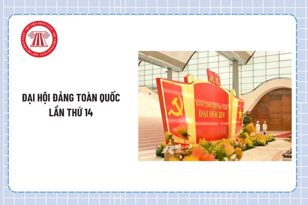 Pháp luật