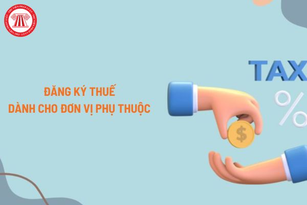 Mẫu Tờ khai đăng ký thuế dùng cho đơn vị phụ thuộc? Hướng dẫn điền mẫu Tờ khai đăng ký thuế chi tiết nhất?